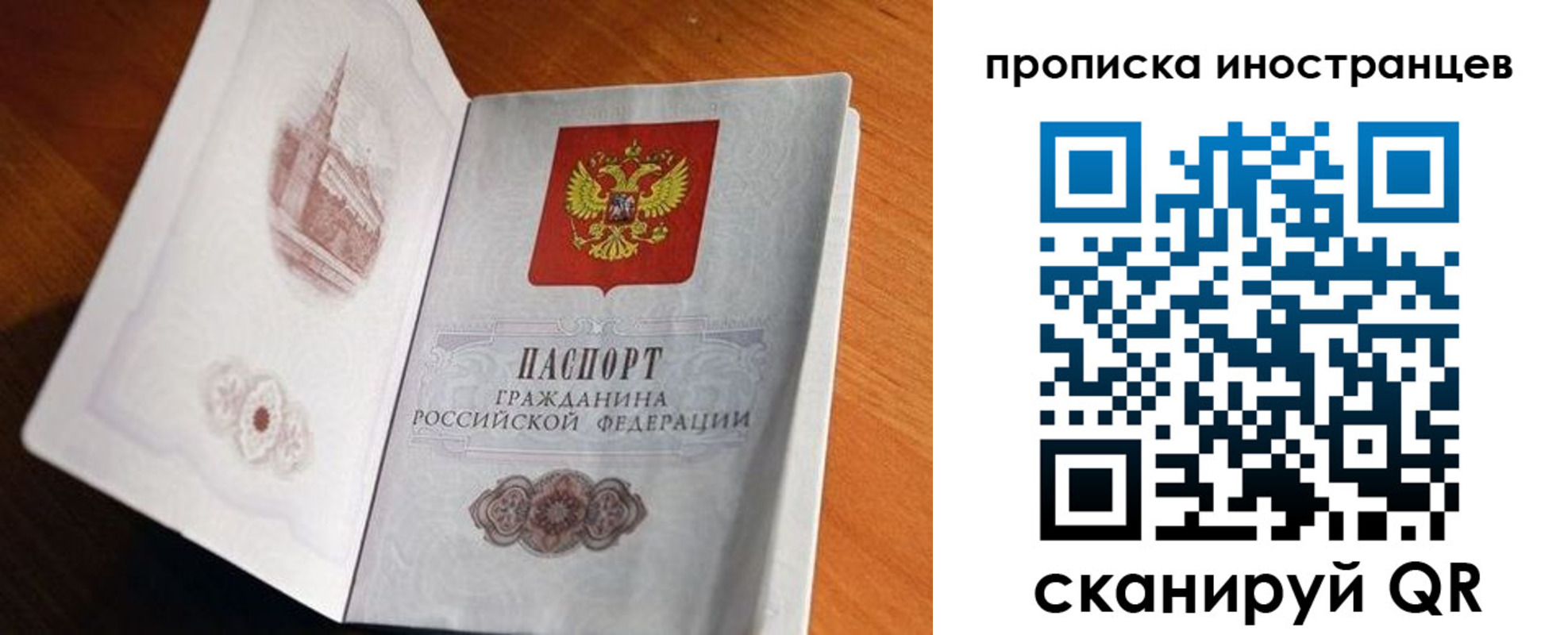 прописка 2025 в Видном