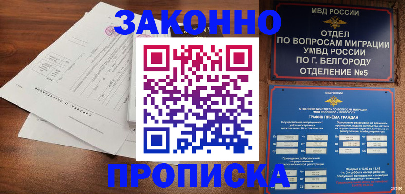 прописка в Видном
